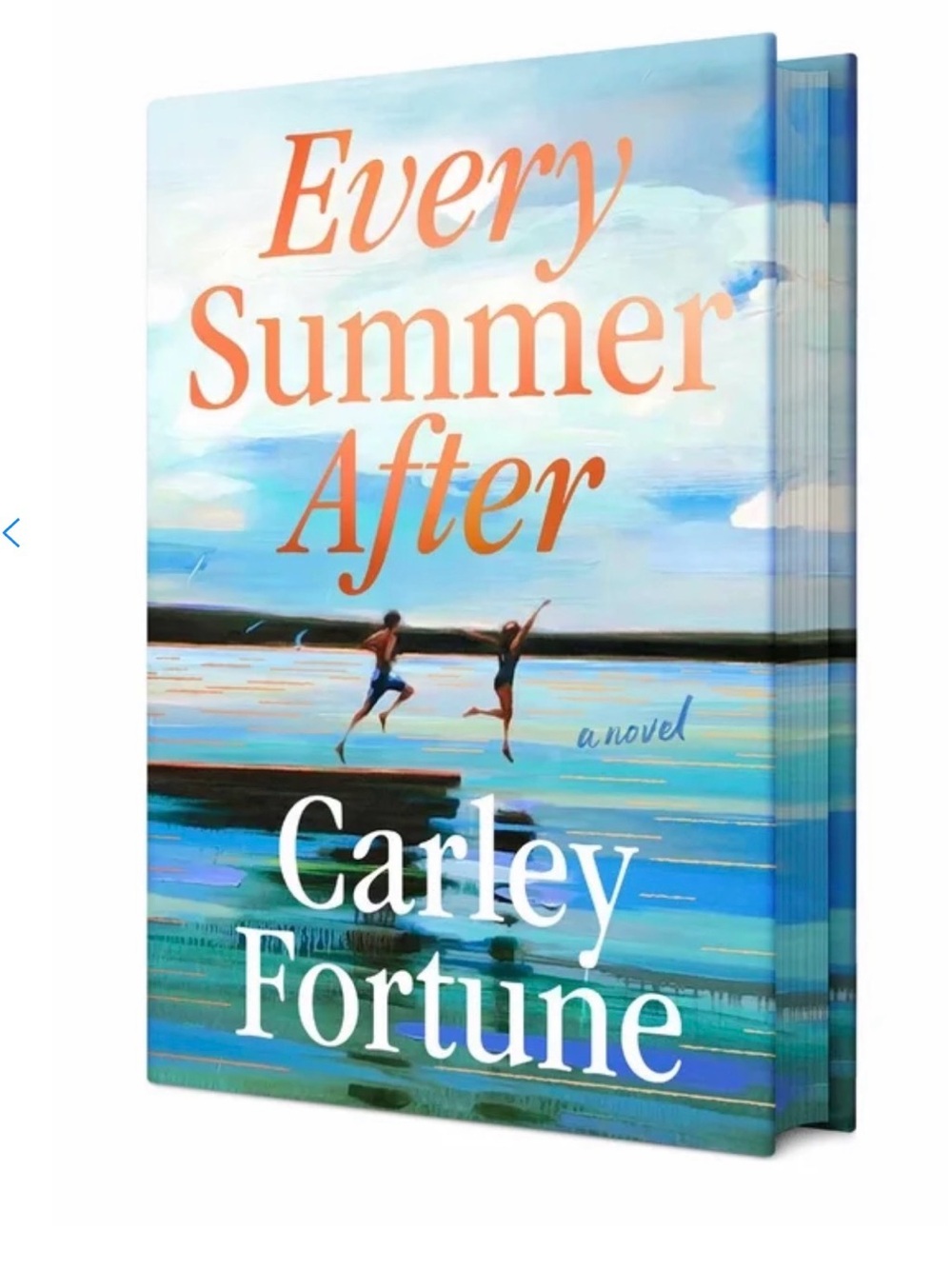 Every Summer After Deluxe Hardcover book